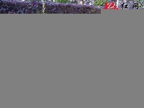 ��̶ܽ����·һ��Դ��ȱ��������������ȫ����