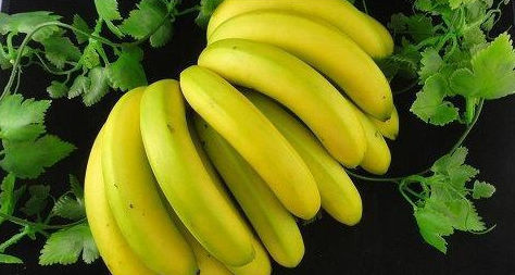 现在日本人喜欢吃菲律宾香蕉