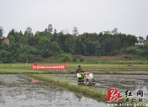 郴州安仁承坪乡有多少人口_郴州安仁龙海镇风景