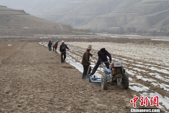 甘肃受旱面积达2203万亩 官方引导民众补种改