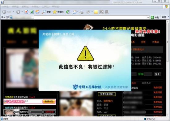 登载淫秽色情信息网站