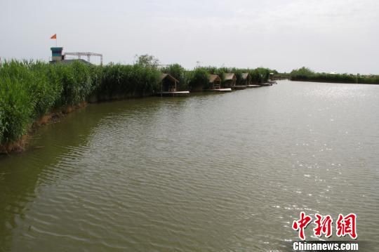 1370523281_kWHeT5.jpg