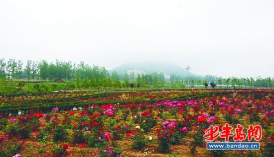 端午小长假学生选择"减压游"白领偏好自驾游