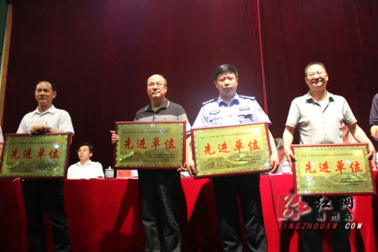 靖州·杨梅节总结表彰暨农村环境卫生整治动员
