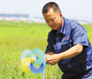 为了赶走小鸟儿,机场用上高科技