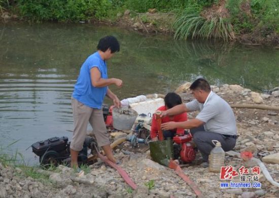 绥宁县插柳村投入300台水泵抽水抗旱