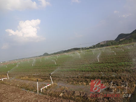 道县大力发展蔬菜节水灌溉应对旱灾