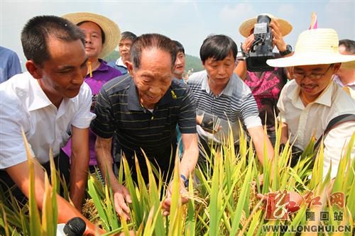 袁隆平(前排左二)察看超级稻高产攻关情况。 资料图