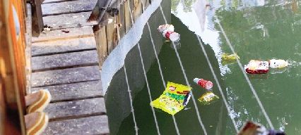 火烈鸟被砸伤郑州市动物园微信吐槽游客不文明行为