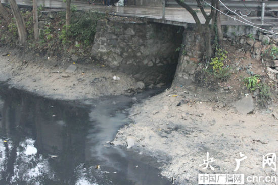 温州瓯江污染严重 居民称臭味赛过马桶、手都