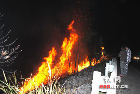 莲易高速白关出口绿化带起火 疑因路人丢烟头