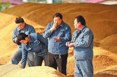 粮食核心区筑强“大粮仓”
