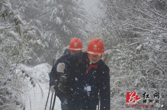 靖州:雨雪天气抗覆冰 特巡线路保供电
