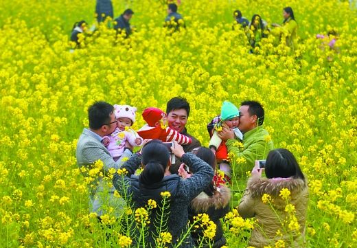 潼南的油菜花、巫山的郁金香、金佛山的杜鹃花已经开放,各地赏花节将拉开帷幕 昨日,巴滨路附近的油菜花地上,市民抱着孩子拍照留影。 重庆晨报记者 高科 摄 伴随着明媚的春光,金色的菜花、红色的桃花、白色的梨花等到处都在大面积绽放。该是走出水泥墙,到大自然中去沐浴温暖的阳光、观赏多彩多姿的花卉,呼吸清新、芬芳的空气的时候了。 昨天,重庆晨报记者从众多区县打探到,今年的春天还有郁金香、虞美人、玉兰等较为名贵的花卉面世;喜欢野趣的市民,还可上到金佛山、四面山等去观赏野花。一些区县还在鲜花盛开的地方
