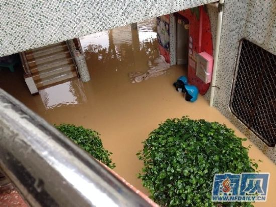从化温泉镇幼儿园因暴雨停水电 老师为孩子打