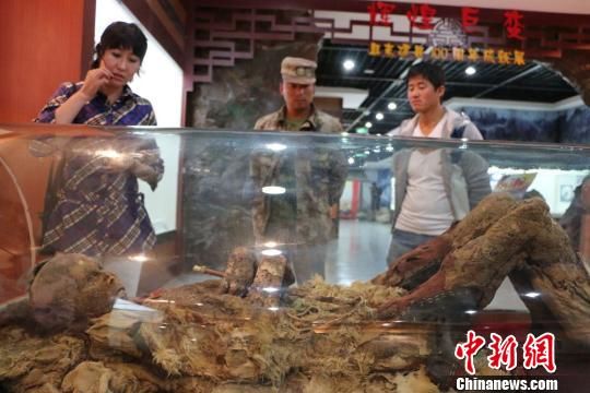 图片版权归原作者所有