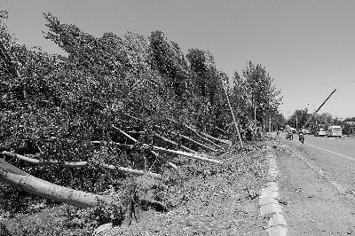 冰雹鸡蛋大 砸伤永乐店 昨天下午通州天气突