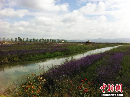 贵州威宁:用原生态的美丽感动游客