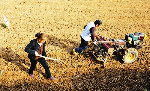垣曲县左家湾村农民赵小六正在播种小麦