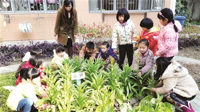 百年文化名园珠江路小学附属幼儿园：金陵幼教第一园的溯源与风采