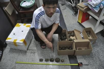 网上买卖珍稀陆龟28岁男子站上被告席