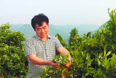 欧阳定权九嶷山下的现代农夫