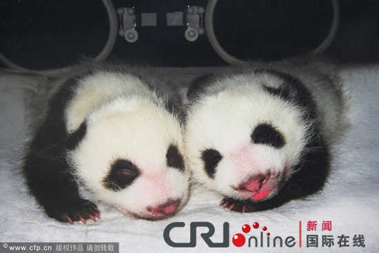 图片报道:绿色中国·野生动物保护