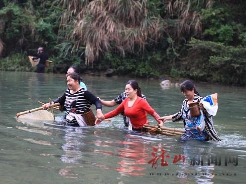 组图:龙山洗车河流域鱼虾成群 捞虾队伍成风景线