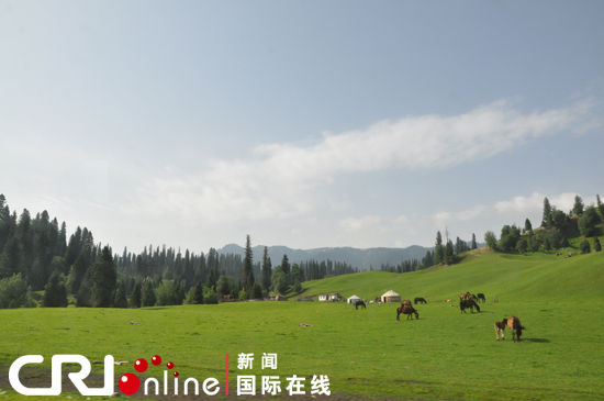 新疆那拉提草原游牧民憧憬美好的幸福家园(组