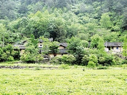 钟祥市区人口_城镇化加速!湖北六大县市区人口突破百万大关,洪山天门黄陂领