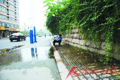 上路专查鸡毛蒜皮的小事(图)