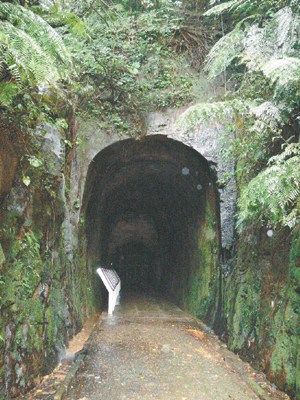 ѯ�ʶȸ߻�¡���������Ԫ�޸�����������(ͼ)