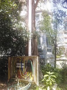 图文:一个小区500多住户为电提心吊胆四五年