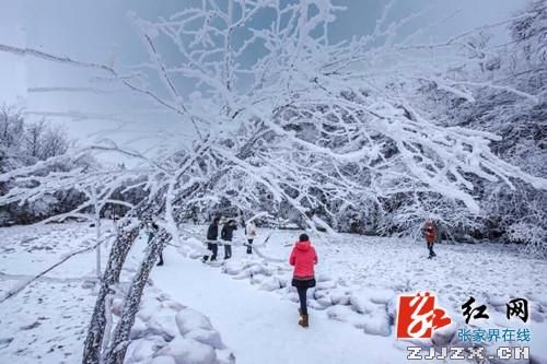 春雪飞扬引爆张家界天门山观雪游(组图)