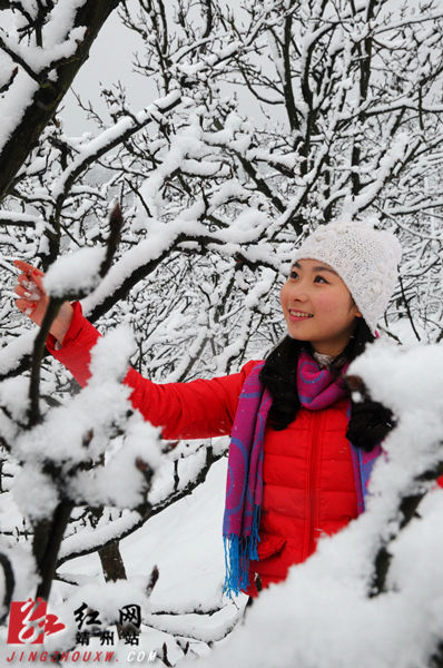 靖州红妆素裹看排林妖娆雪景图