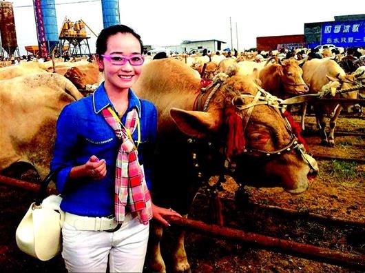 图文:海归女歌手回恩施养牛