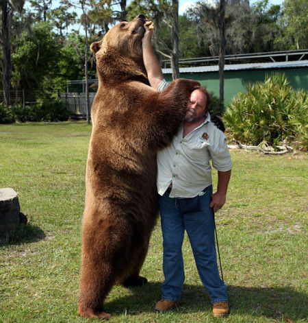 美国一家庭养13头熊当宠物 朝夕相处如家人(组图)_新浪新闻