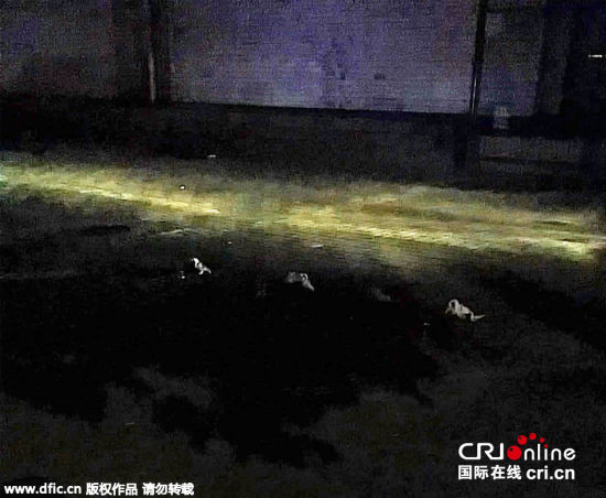 天津塘沽一幼儿园职工宿舍发生重大杀人案 5人