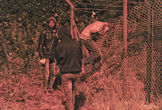 非法移民欲拆毁栅栏强行进入英国(组图)_新浪