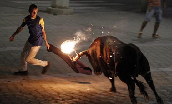 西班牙另类奔牛节:公牛双角“冒火”冲向人群(组图)_新浪新闻