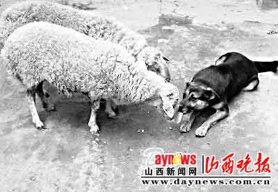 ������������ֻС��ÿ�������ɢ��(ͼ)