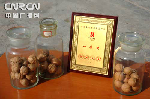 环塔里木看林果 之科技施农促温宿果农增收