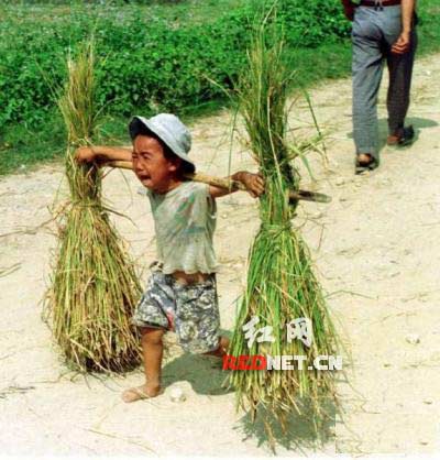网友曝农村男童做农活照片惹争议(图)