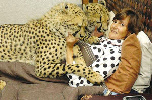 南非女子与猎豹狮虎一张床上同眠(图)
