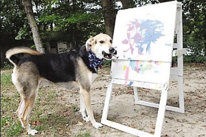 小狗用嘴叼笔作画卖出1700美元(图)