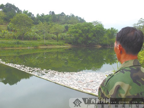 村民水库疑遭投毒鱼全部死亡(图)