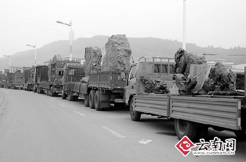 ������Լ�̼Ҳμ���ʯչ 