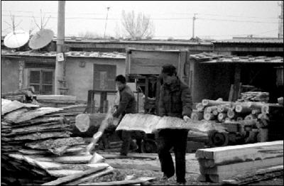 市场内，工人正在搬运木材。本报实习记者 雷军 摄