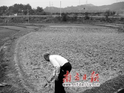 ÷�ر�����Ⱥ����ϰ�Ķũ���������顣������ ��