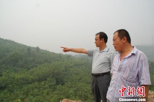 图为河北省武安市林业局副书记史彦魁（左一）在向刘今朝询问核桃种植情况。（马继前 摄）　马继前　摄